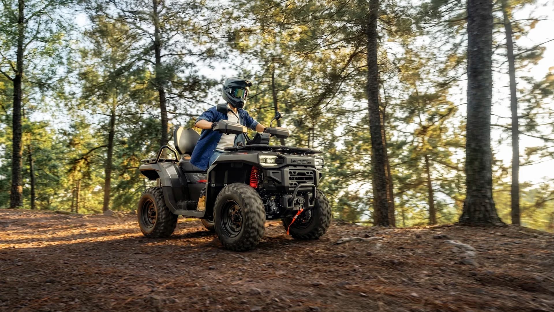 GOES TERROX 550